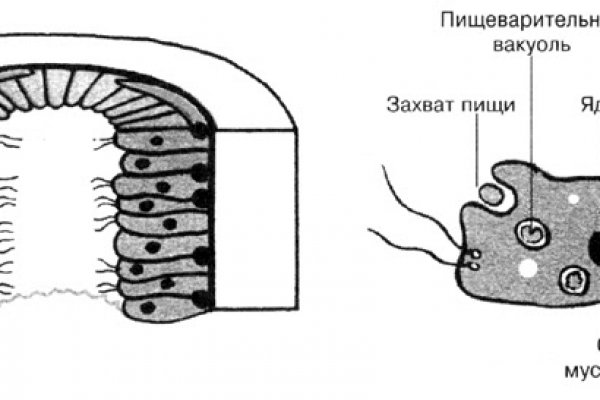 Кракен ссылка fo feng crmp ru